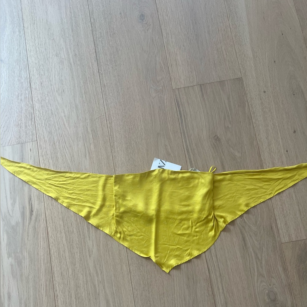 Zara crop top